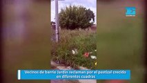 Vecinos de barrio Jardín reclaman por el pastizal crecido en diferentes cuadras