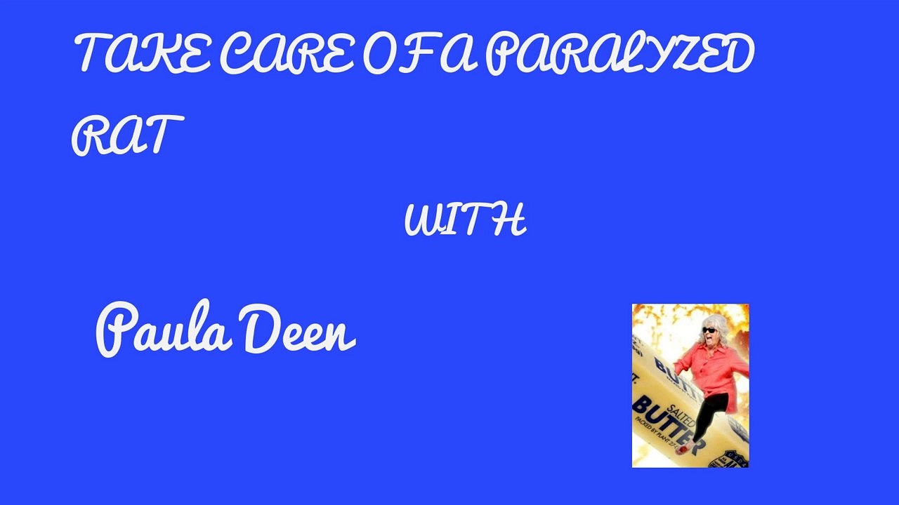How to Take Care of a Paralyzed Rat