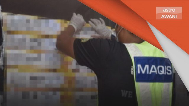 Logo Halal | MAQIS rampas daging kerbau sejuk beku dari India