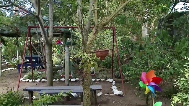 mqn-Vecino de Cartago transformó lote baldío en un pulmón cartaginés-220322