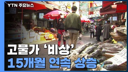 생산자물가 15개월 연속 상승...고물가 비상 / YTN