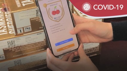 Hong Kong bangun aplikasi kesan buah-buahan dijangkiti COVID-19
