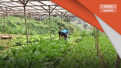 MyDigital | Pemerkasaan ekonomi digital dalam sektor pertanian