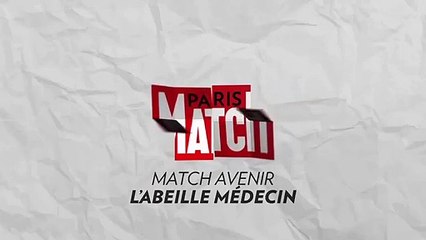 Comment les abeilles détectent un cancer