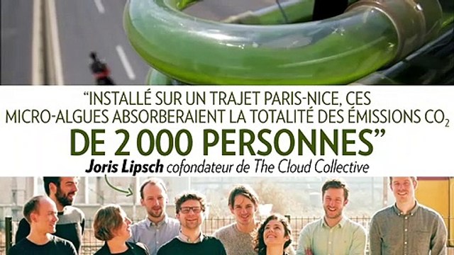 Ces algues captent le CO2 des voitures