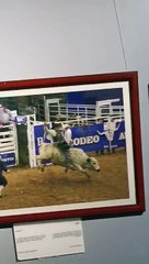 دشنت جمعية الثقافة والفنون بأبها المعرض الفوتوغرافي السعودي الأمريكي بمشاركة 48 فوتوغرافي و فوتوغرافية من المملكة وأمريكا