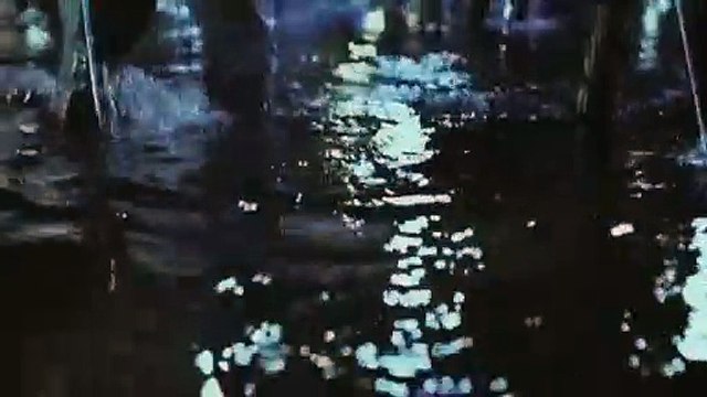 Bande Annonce : J'ai rencontré le Diable