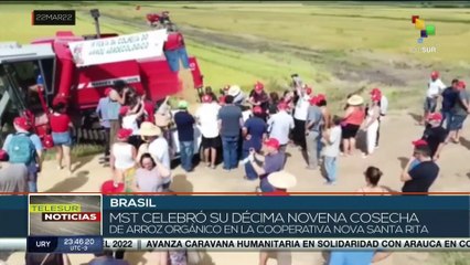 Movimiento Sin Tierra alcanza nueva cosecha de arroz orgánico para población brasileña