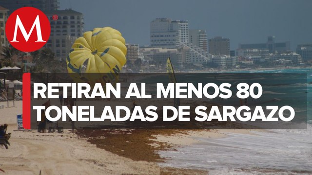 Hoteleros y turistas, afectados por sargazo en la Riviera Maya