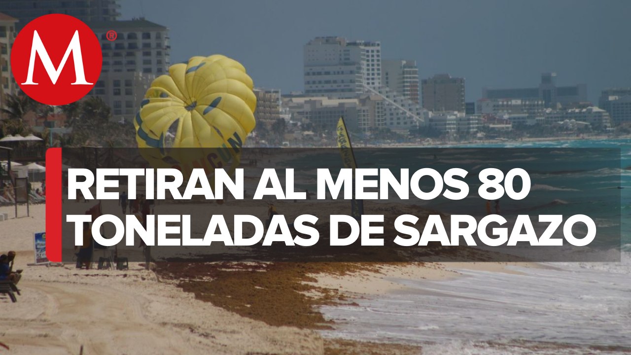 Hoteleros y turistas, afectados por sargazo en la Riviera Maya