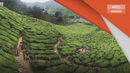 5 Daerah Zon Hijau | Langkawi, Cameron Highlands antara daerah terlibat