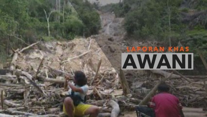 Laporan Khas | Hutan Pantai diancam kepupusan