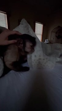 Gaitlyn Rae Morning!