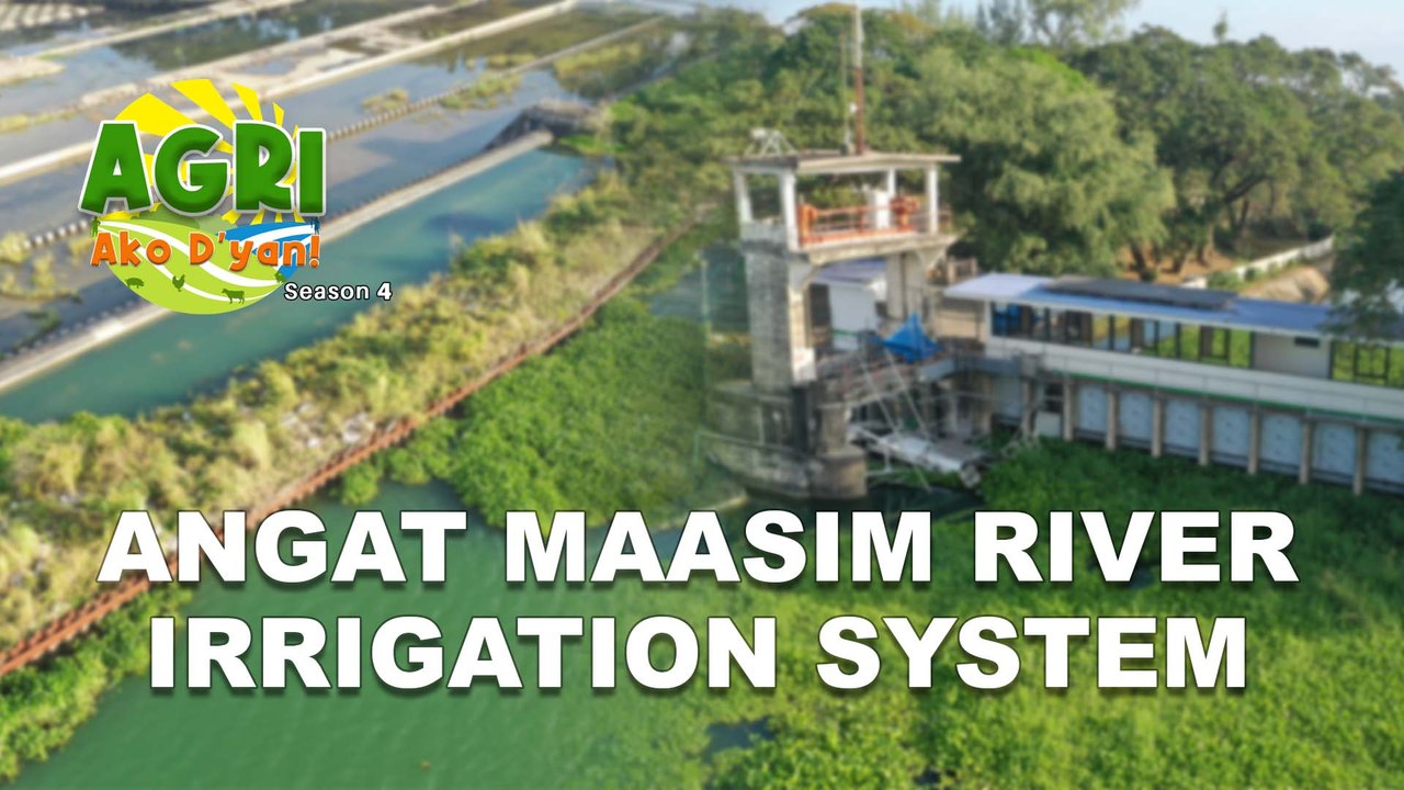 NIA Irrigation