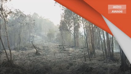 Kebakaran Hutan | Kawasan hutan ke Cameron Highlands terbakar