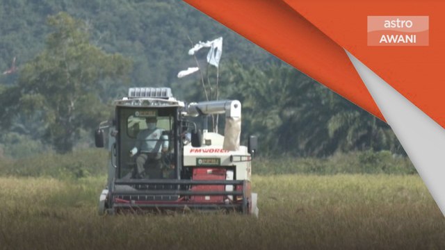 Industri Padi | Mansuh kawal selia industri beras, tingkat daya saing tempatan