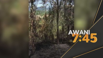 Aktiviti Pertanian | Kebakaran Hutan Ke Cameron Highlands