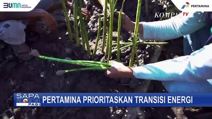 Tegaskan Komitmen, Pertamina Tetapkan Transisi Energi Jadi Prioritas Utama Perusahaan