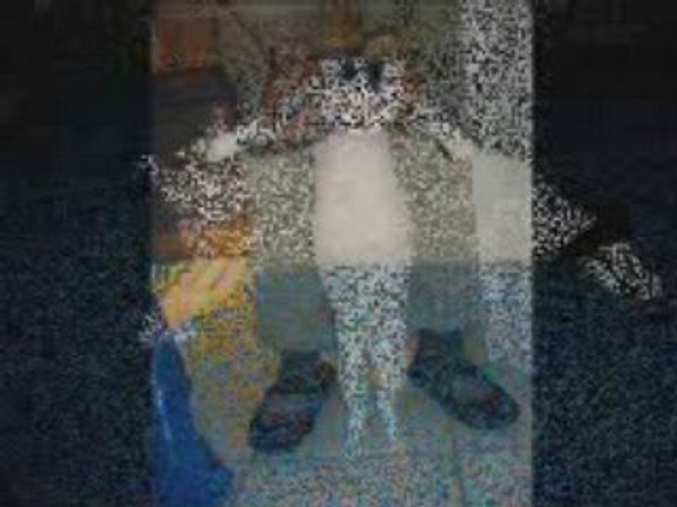 Chatte