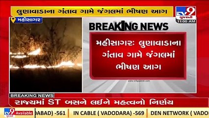 Massive fire breaks out in Lunavada forest area in Mahisagar _Gujarat _TV9GujaratiNews