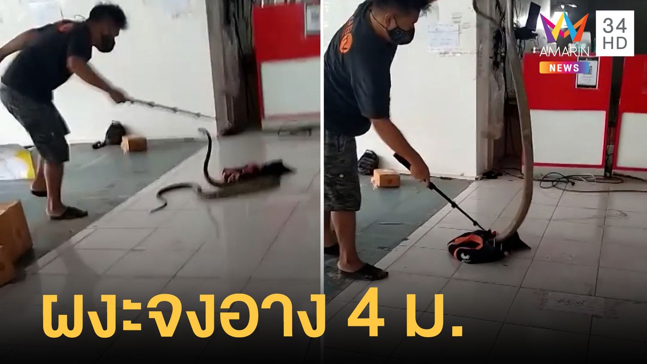 พนง.ขวัญกระเจิง! ลูกค้าส่งพัสดุข้างในเป็นจงอางยาว 4 เมตร | ข่าวเที่ยงอมรินทร์ | 23 มี.ค.65