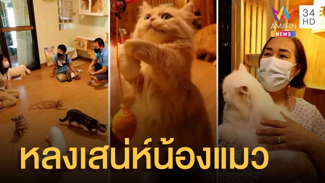 อดีตพยาบาลเปิดคาเฟ่แมว เพราะหลงเสน่ห์ความน่ารัก | ข่าวเที่ยงอมรินทร์ | 23 มี.ค.65