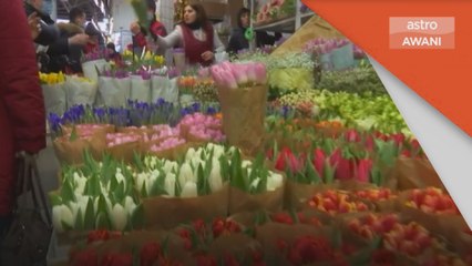 Hari Wanita | 120 juta bunga diimport sempena meraikan wanita