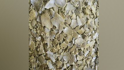 सरसों की खली स्किन और बालों के लिए बेहद फायदेमंद | Boldsky