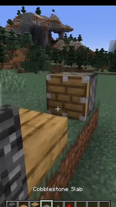 Minecraft Cool Video | cursed impossible Slabs