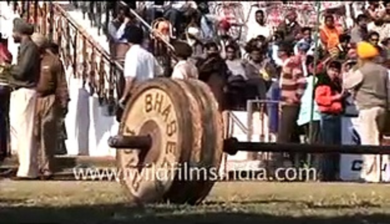 Rural Olympics - amateur weight-lifting!