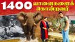 யானைகளைக் கொன்ற பாவம் சமாதியில் விழும் இடி ⚡ | NuwaraEliya, Sri Lanka | Rj Chandru Vlogs