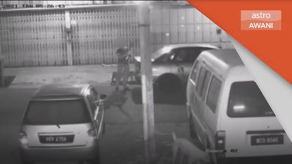 Panah Anjing | Pemanah ditahan polis