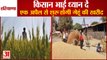 Wheat Procurement Will Start In Haryana From April 1|हरियाणा में एक अप्रैल से शुरू गेहूं की खरीद