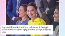 Kate Middleton snobée en Jamaïque : une ancienne Miss monde l'ignore totalement...