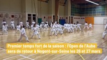 Le Karaté club nogentais renfile le kimono