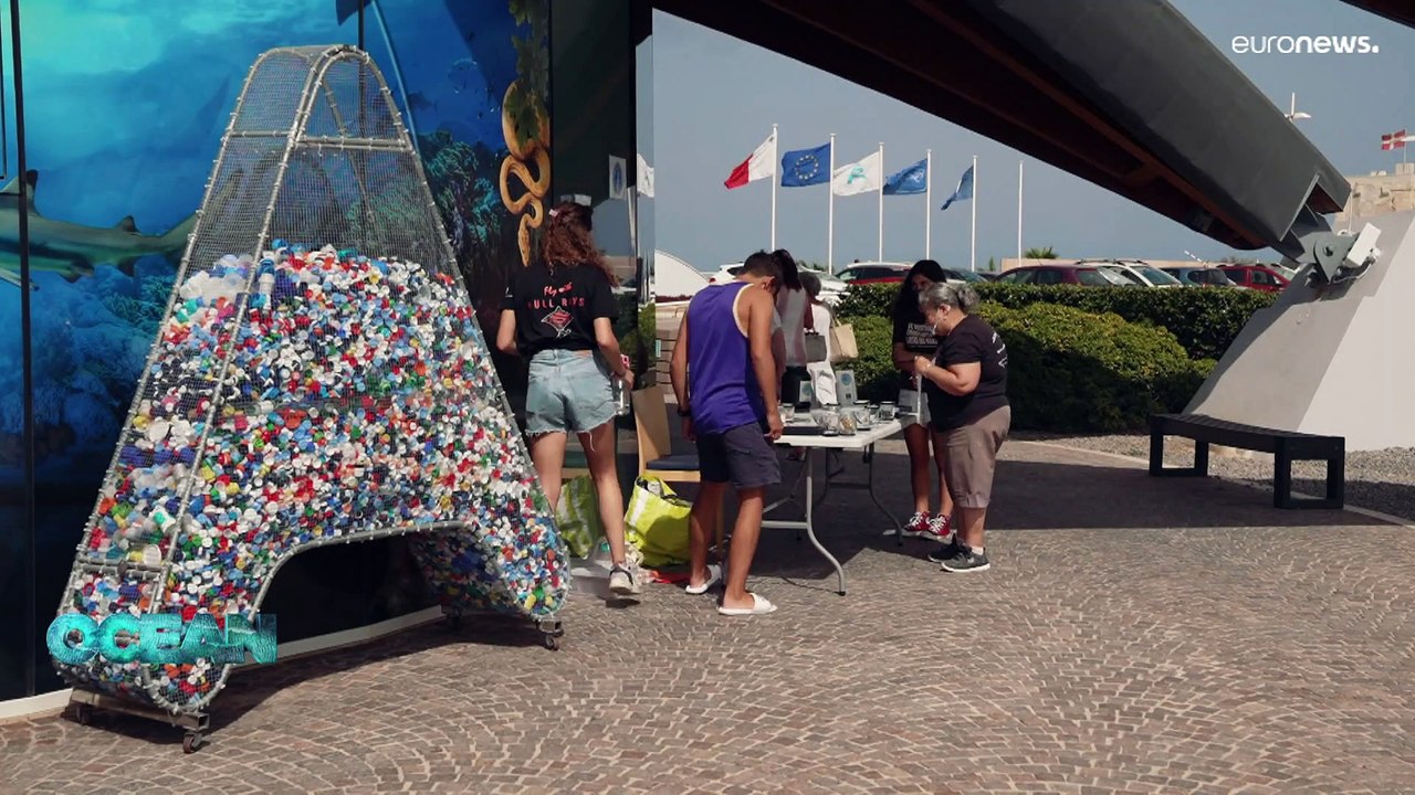 Traumjob zu vergeben: segeln lernen und gleichzeitig der Umwelt helfen