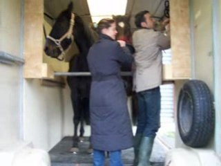 08 mars 2008 camion des chevaux