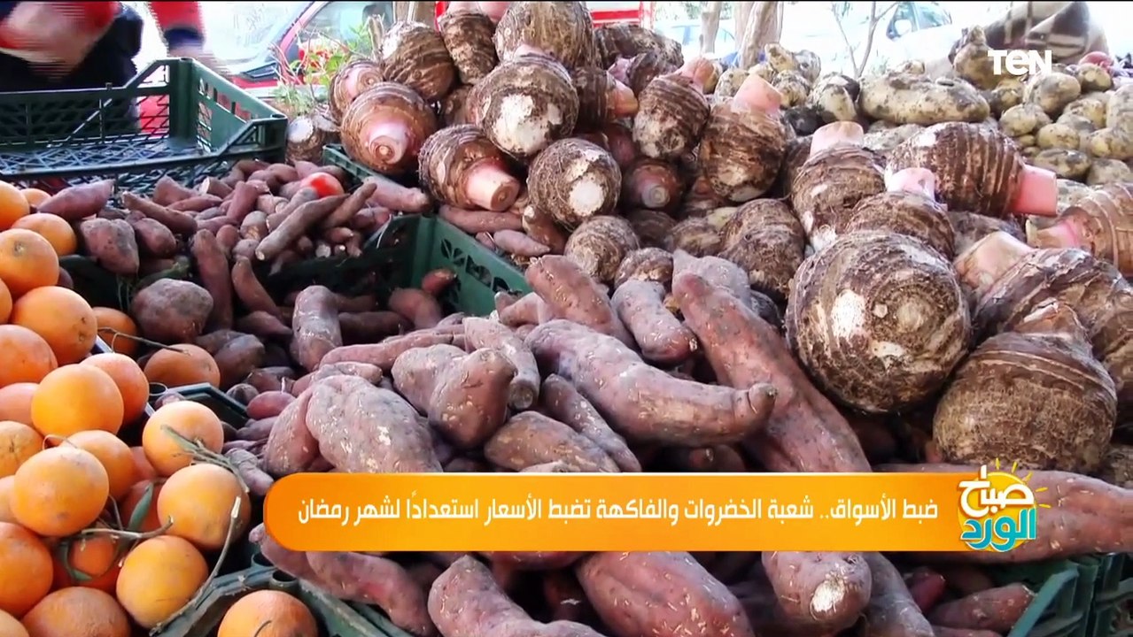 ضبط الأسواق.. شعبة الخضروات والفاكهة تضبط الأسعار استعدادًا لشهر رمضان