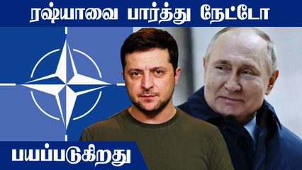 Ukraine-ஐ NATO சேர்க்காததற்கு இதான் காரணம்.. கொந்தளிக்கும் அதிபர் Zelenskyy