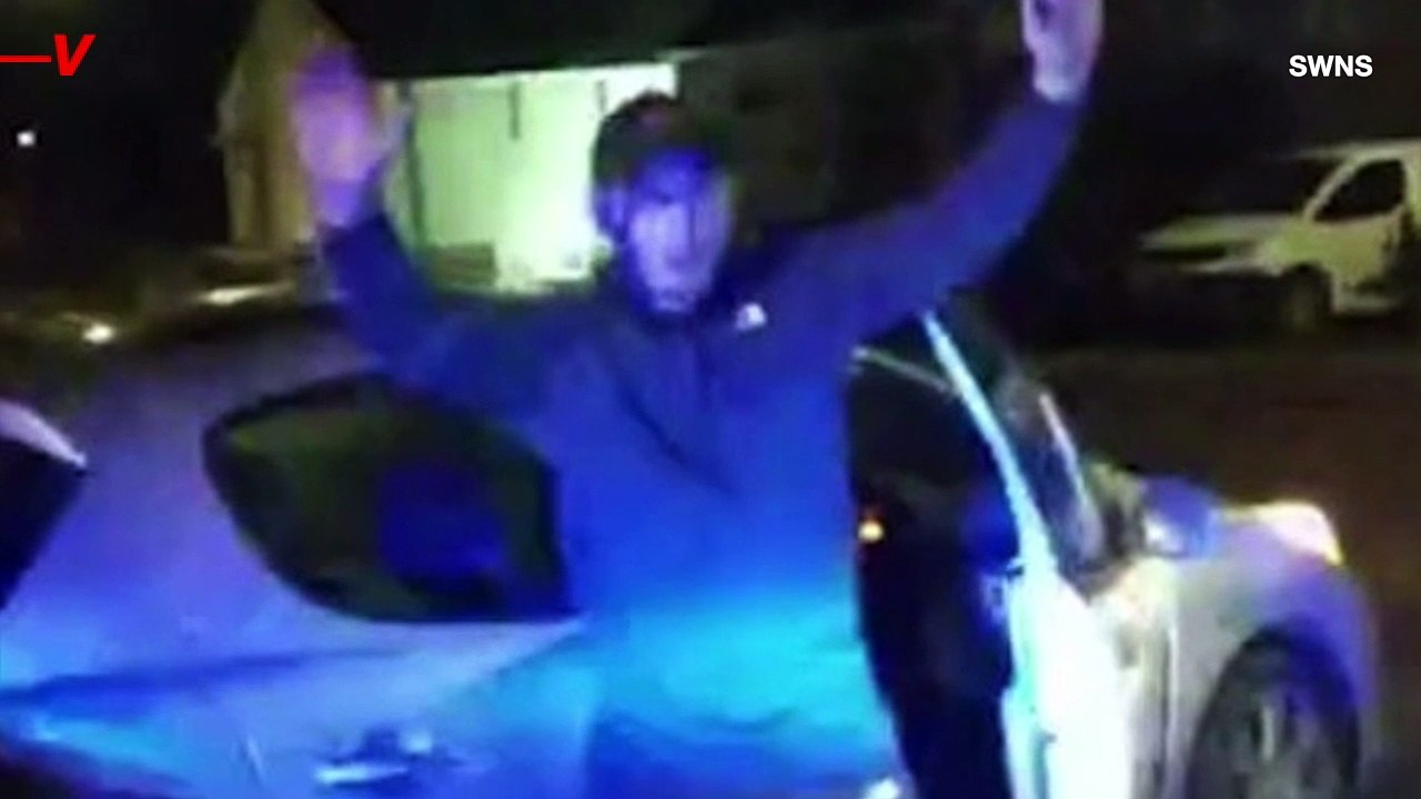 Car Thief Suspect Pulls Over Saying, ‘I Didn’t Want to Risk Being Bitten By Your Dog’