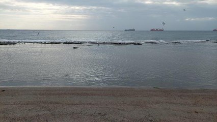 Tekirdağ'da deniz 15 metre çekildi: Kral yolu ortaya çıktı