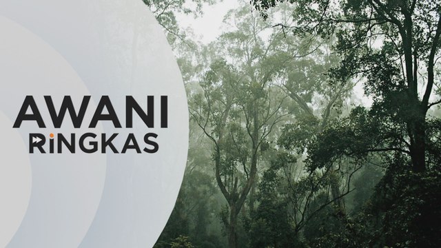 AWANI Ringkas: PM lancar Dasar Perhutanan Malaysia