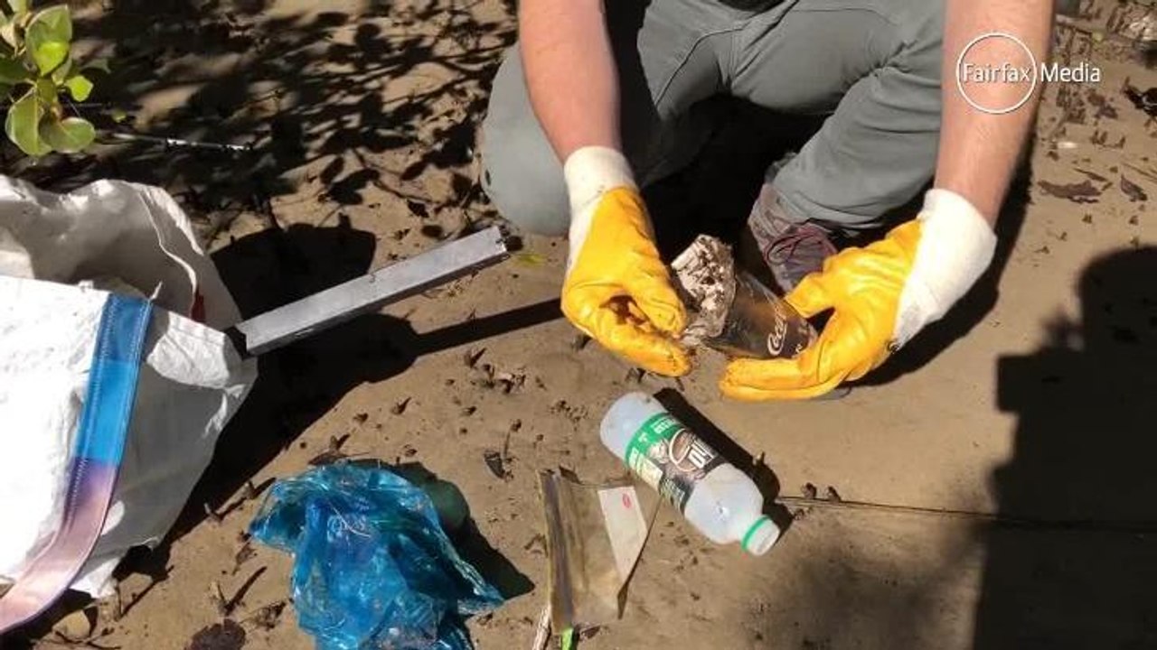 PLASTICS IN THE ENVIRONMENT
