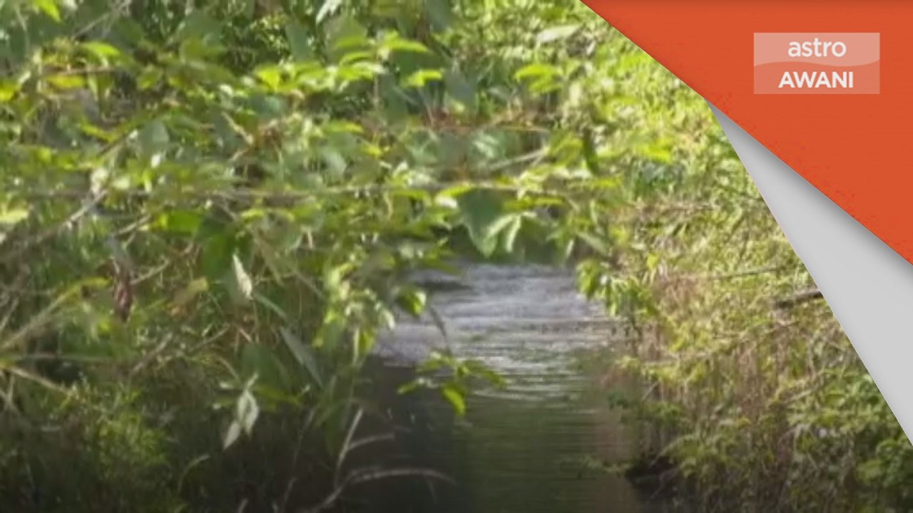Pencemaran | Penduduk tidak yakin sebab pencemaran Sungai Kim Kim