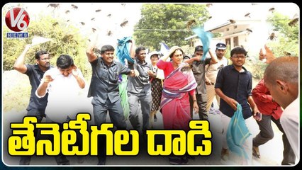 YSRTP Chief YS Sharmila Continues Padayatra Despite Honey Bees Attack _ V6 News