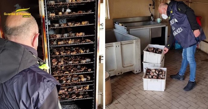 Commercio clandestino di prodotti alimentari: sequestrata azienda nel Casertano (23.03.22)