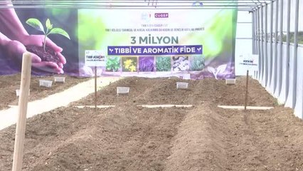 3 milyon fide tohumu toprakla buluşturuldu