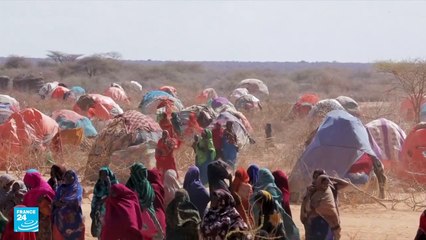 حرب في أوروبا تنذر بمجاعة في القرن الأفريقي