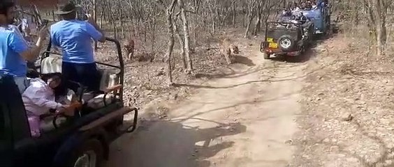 एरोहैड को मिला नया हमसफर