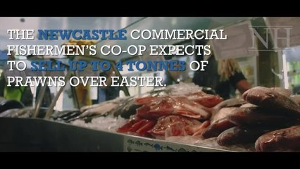 The Newcastle Commercial Fishermen's Co-op on Easter Weekend 2019